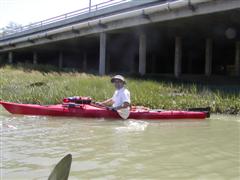 Kayaking at Redwood Shores